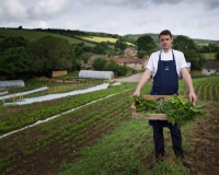 black swan oldstead- tommy garden