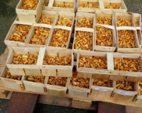 10312453_638001009587457_8036159058892094986_n