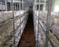 14718808_1078154672238753_825197678744094407_n