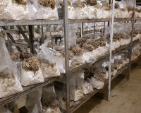 16712015_1190306424356910_1542629627908510711_n