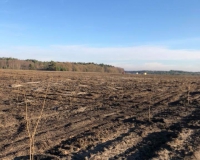 24058972_2010226162569668_3471446891010396712_n