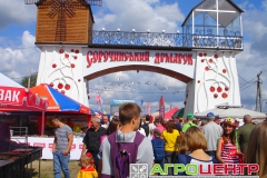 Сорочинская Ярмарка 2015