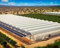 31378b9-3studyof-sundrop-farms-in-australia007