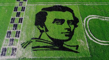 Аграрії “виростили” гігантський портрет Шевченка з рису (ФОТО)
