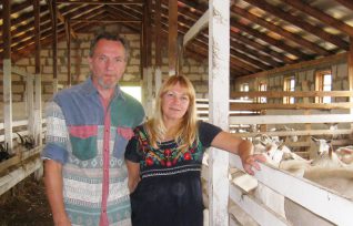 The Golden Goat: a married couple have left a successful business in Kiev to become eco-farmers