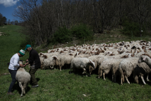 An Italian farm became a ‘laboratory’ for earthquake prediction