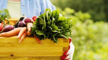 Deputies are preparing to adopt a law on organic products