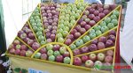 A huge apple festival will take place in Moldova (PHOTOS)