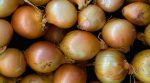 Prices for onions increased threefold in Ukraine in one year