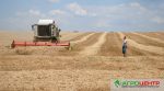 Подружжя фермерів розвиває господарство на Кіровоградщині (ФОТО)