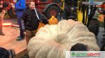 Бельгійський фермер виростив найбільшого у Європі гарбуза (ФОТО)