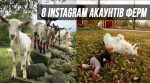 8 ферм в Instagram, які не залишать вас байдужими (фото)