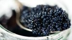 Tons of black caviar in Kyiv region (VIDEO)