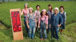 В Японії процвітає “жіноча ферма” (фото)