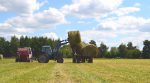 The number of farms is increasing in Ukraine