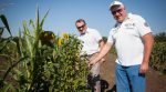 Фермер створив перший в Україні великий дереновий сад (фото)