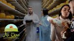 Вигідний бізнес: молоді фермери виробляють незвичні сири на Львівщині (відео)