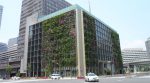 An urban farm: the Japanese have created an office with a rice field and vegetable plantations (photo, video)
