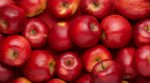 Unprofitable gardens: the price for Ukrainian apples decreased four times