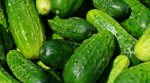 Prices for Ukrainian cucumbers fell by 38%
