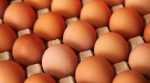 Ukraine “buried” Europe in eggs