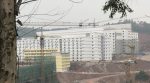 У Китаї фермери будують 8-поверхові свинокомплекси (фото)