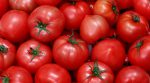 В Україну намагалися ввезти 20 тонн заражених томатів