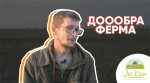 Молодой киевлянин покинул столицу и делает сыры в селе (видео)
