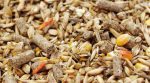 A new compound feed plant will be built in Rivne region