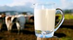 В Україні зросла ціна на молоко