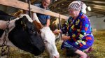 Прибыльное дело: в Украине набирают популярность семейные молочные фермы