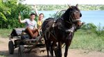 Семейный бизнес: молодые супруги занимаются сельским туризмом на Николаевщине