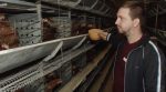A young farmer created an innovative poultry farm in the ATO zone (video)