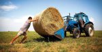 A state agricultural register will be created in Ukraine to help farmers
