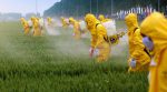 Украинцы могут утилизировать опасные пестициды заграницей