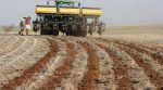Фермер из Киевщины восстанавливает плодородие земли по новейшей технологии