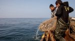 Ukraine without fish: experts told about the effect of a martial law on fishing in the Sea of ​​Azov
