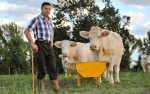Organic animal farms are gaining popularity in Europe (statistics)