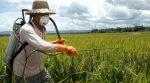 Во Франции фермеры будут платить налоги за использование пестицидов