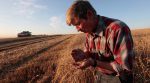 The losses of farmers from the annexed Crimea increased by 70%