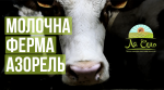 Ферма на Вінничині виготовляє натуральну “молочку” (відео)