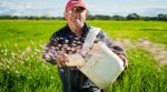 Нові субсидії та компенсації: уряд розширив підтримку фермерів