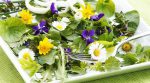 Violet and chamomile salad: Edible flowers are appearing in stores