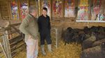 A 15-year-old farmer, who had been recently robbed, was presented with ten new sheep