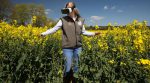 McDonald’s влаштував VR-екскурсію на ферми своїх постачальників (відео)