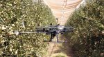 Israeli developers created a drone gardened