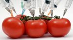 Без ГМО: Грузия уже 4 года не выращивает ГМО овощей и фруктов