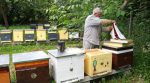 Ukrainians are abandoning farming and building apiaries