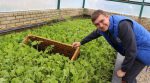 Средиземноморские улитки с Винницкой области: на семейной ферме начали выращивать деликатесы