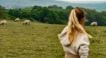 Вівці замість газонокосарки: в Іспанії фермерка використовує тварин для незвичної роботи